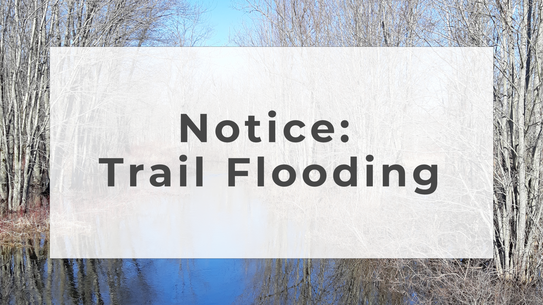 Notice: Trail Flooding