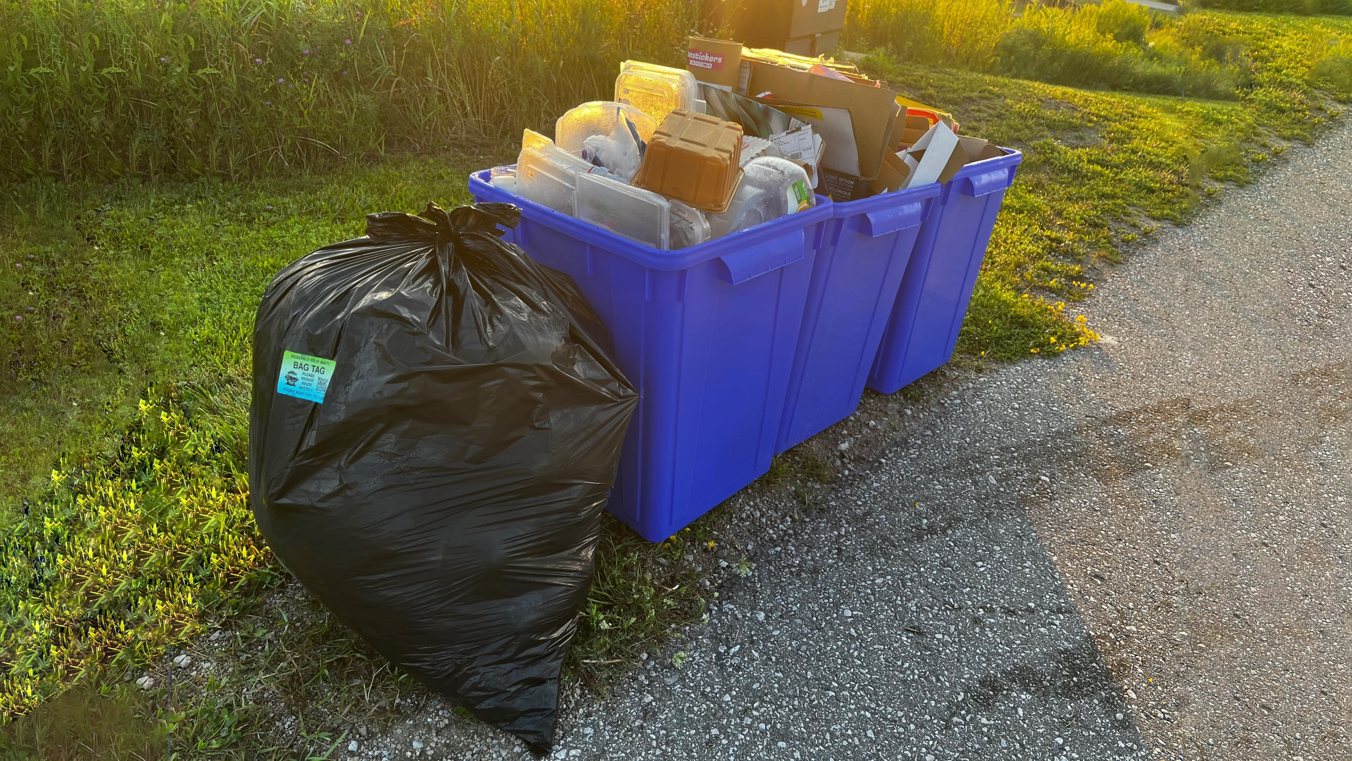 garbage and recycling placed nicely at the curbside