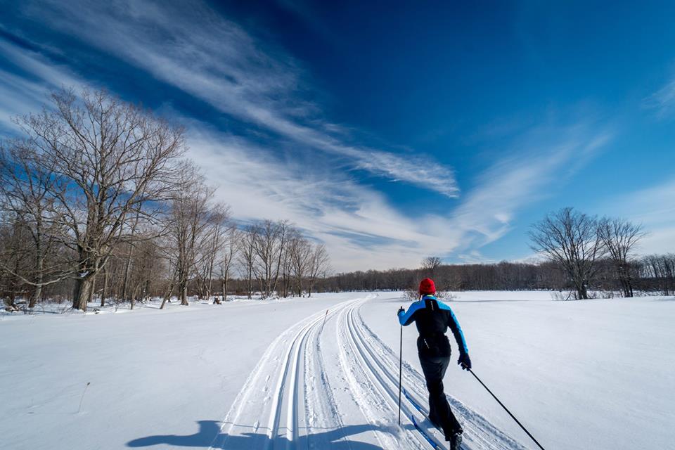 A cross-country skiier.