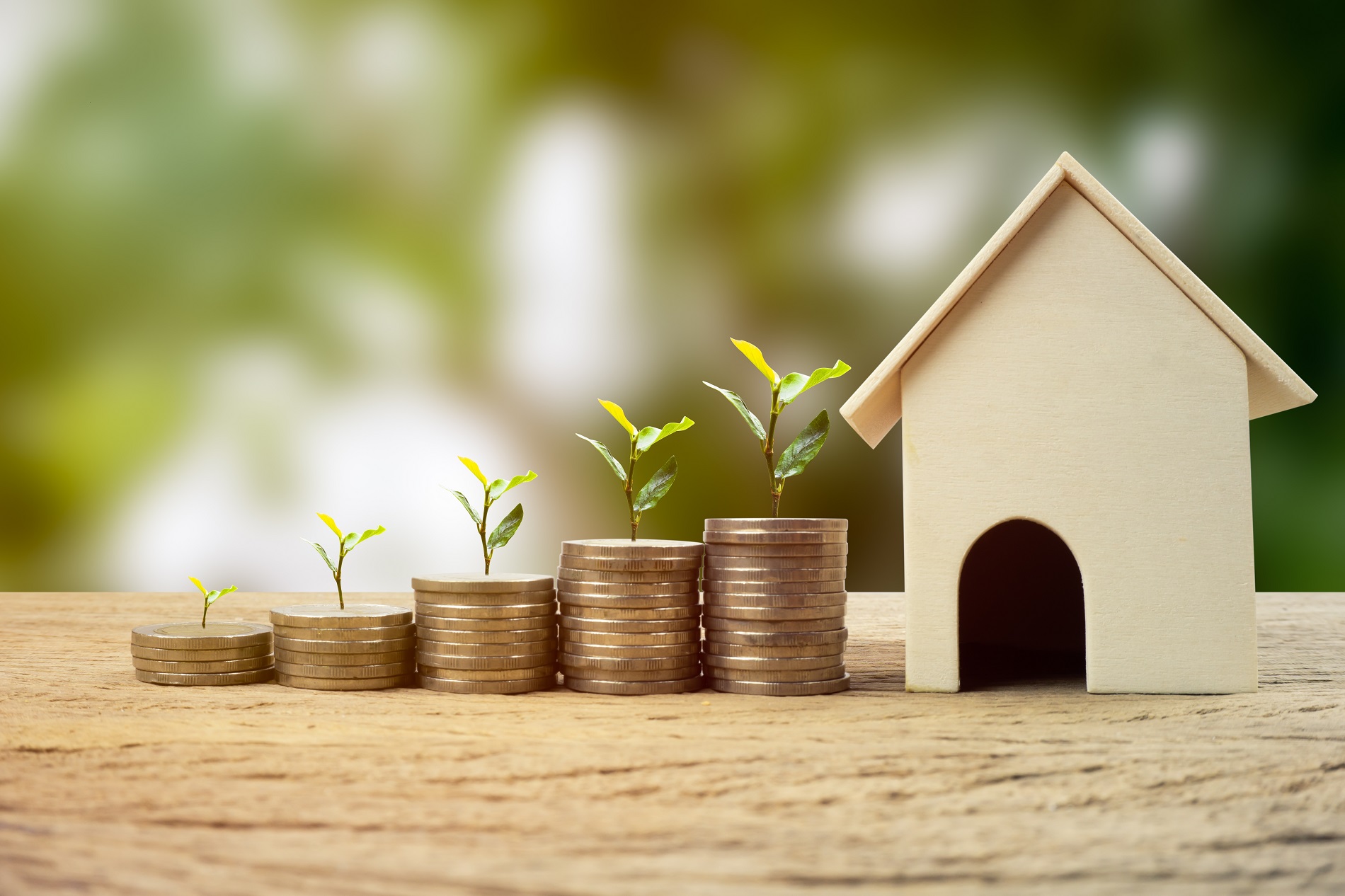 Stacks of coins with plants and a wooden house.